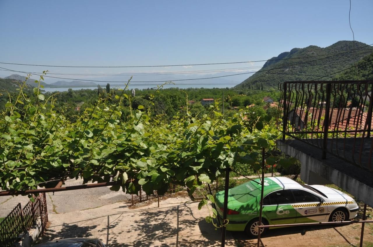 Гостевой дом Guesthouse Skadar Lake Вирпазар-27