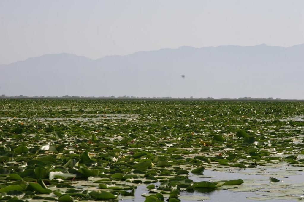 Гостевой дом Guesthouse Skadar Lake Вирпазар