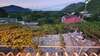 Гостевой дом Guesthouse Skadar Lake Вирпазар-0