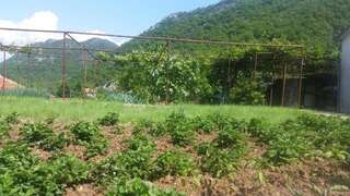 Гостевой дом Guesthouse Skadar Lake Вирпазар Двухместный номер с 1 кроватью или 2 отдельными кроватями, вид на озеро-26