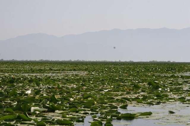 Гостевой дом Guesthouse Skadar Lake Вирпазар-55