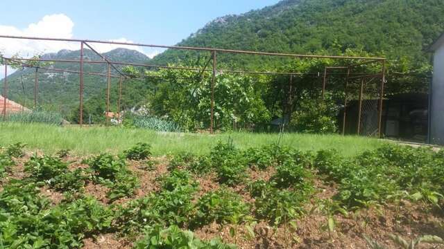 Гостевой дом Guesthouse Skadar Lake Вирпазар-58